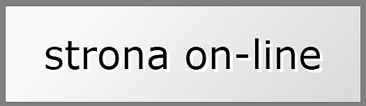 strona on-line na serwerze